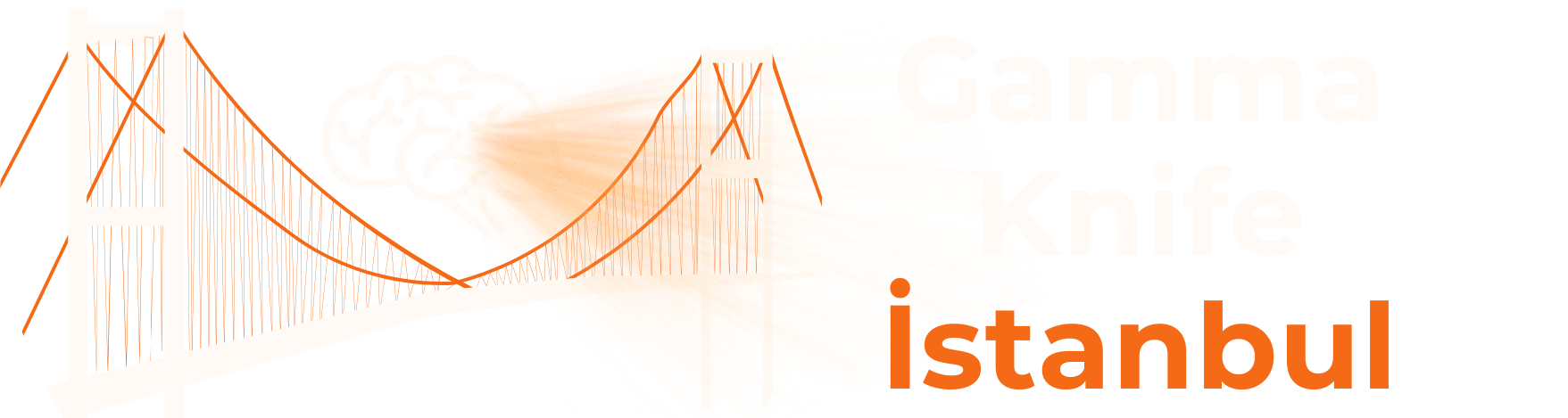 Gamma Knife İstanbul